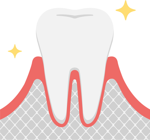 健康な歯茎の状態