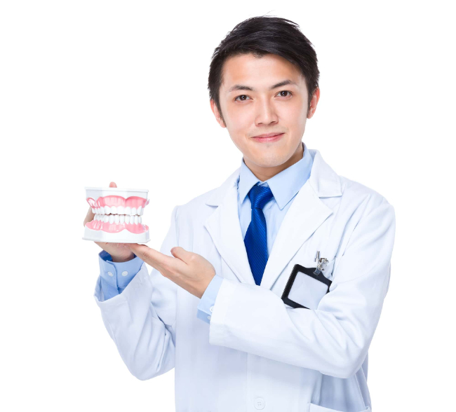 矯正治療期間に影響する要因について説明する歯科医