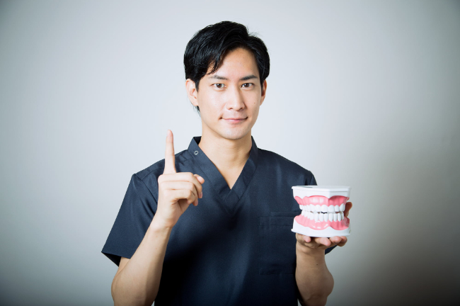 歯の模型を手に持ち不正咬合について説明する歯科医